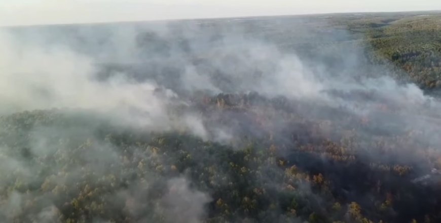 Texas wildfire scorches 220 acres, injures 4 firefighters