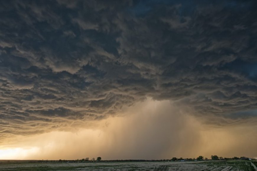 Trees down and one person missing after Ozark storms