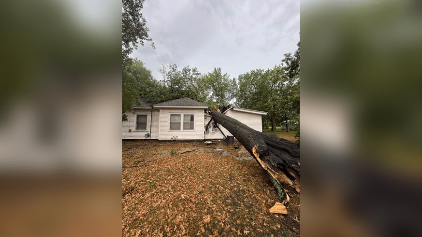 One injured after tree falls on Vernon County home