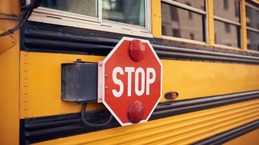 Bus drivers react to record high diesel prices 
