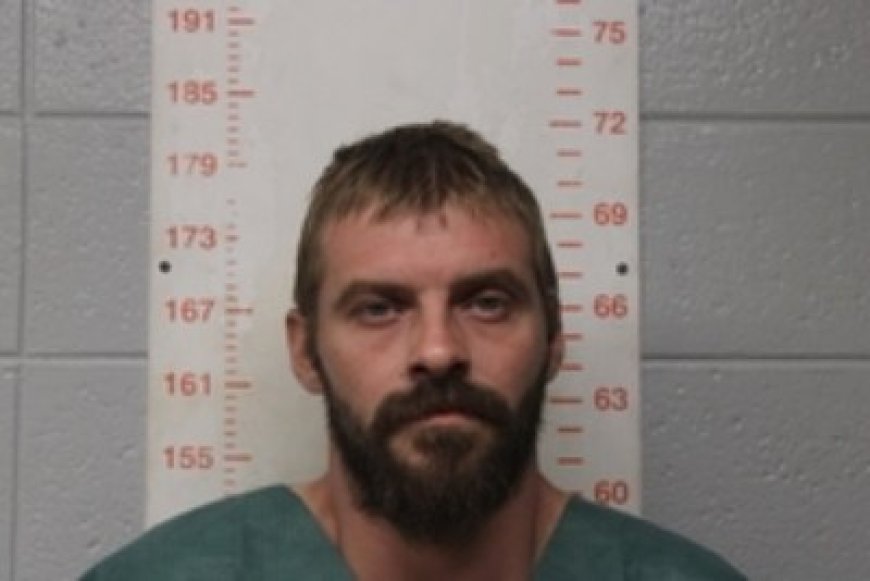 Polk County man accused of shooting at and ramming victims