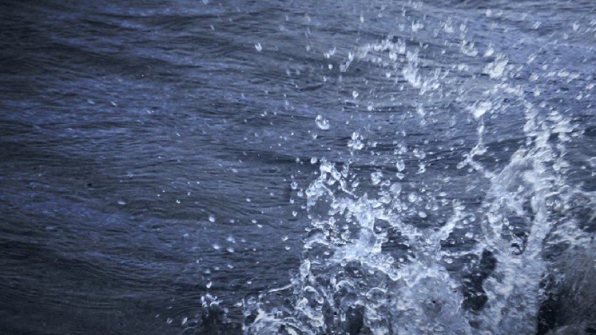 St. Louis man dies in Lake of the Ozarks drowning