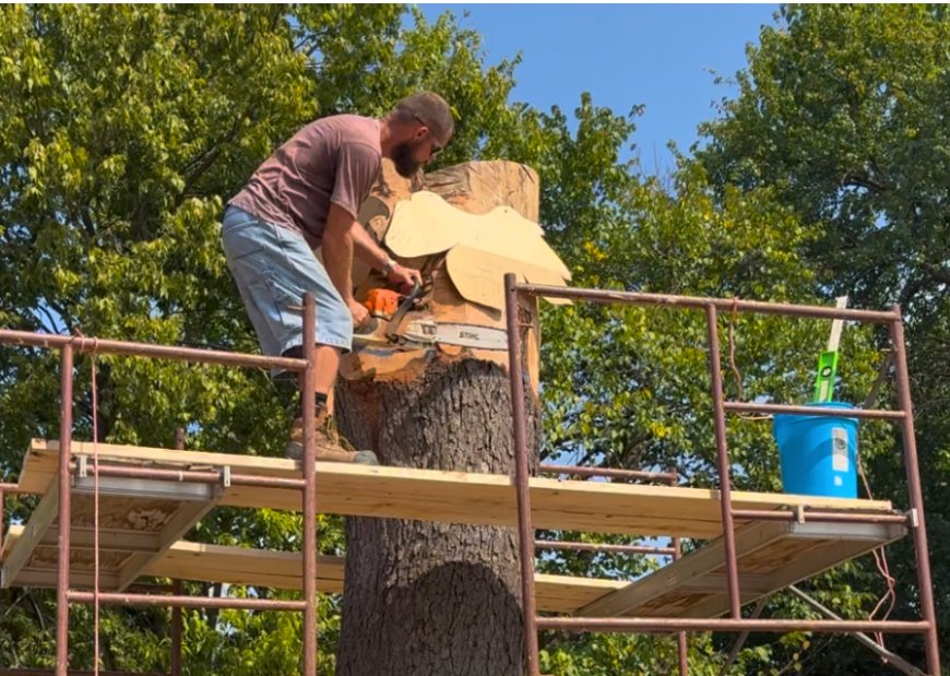 New sculpture coming to Phelps Grove Park