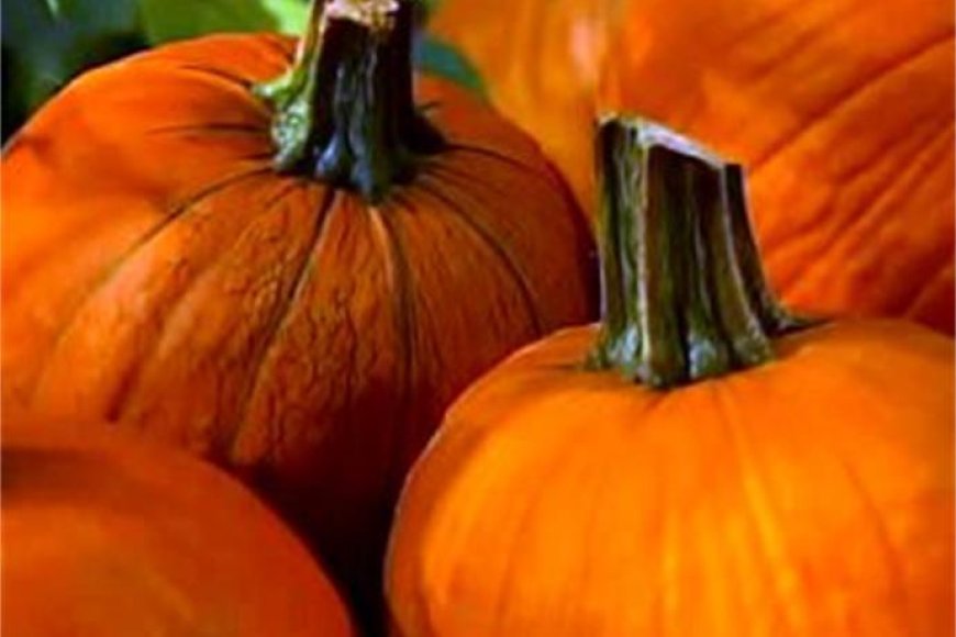 A guide to upcoming Ozarks fall festivals 2026