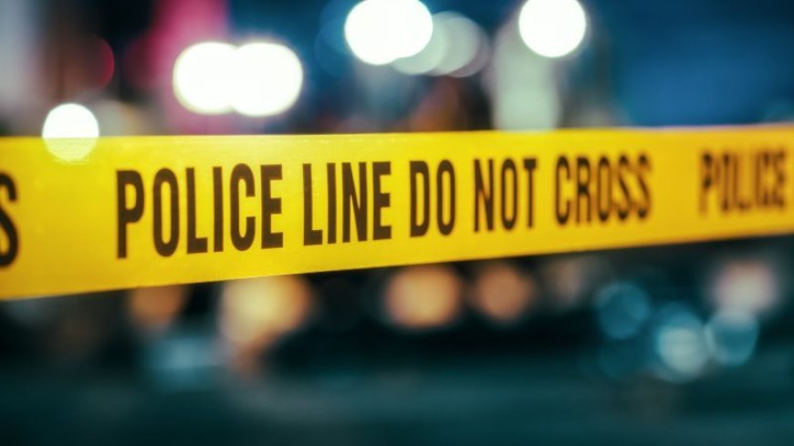 Man dead after early morning shooting in south Springfield; suspect arrested