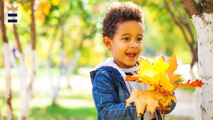 Fall front sweeps out the heat