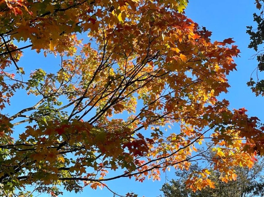 Fall feels for now, but summer may try to fight back