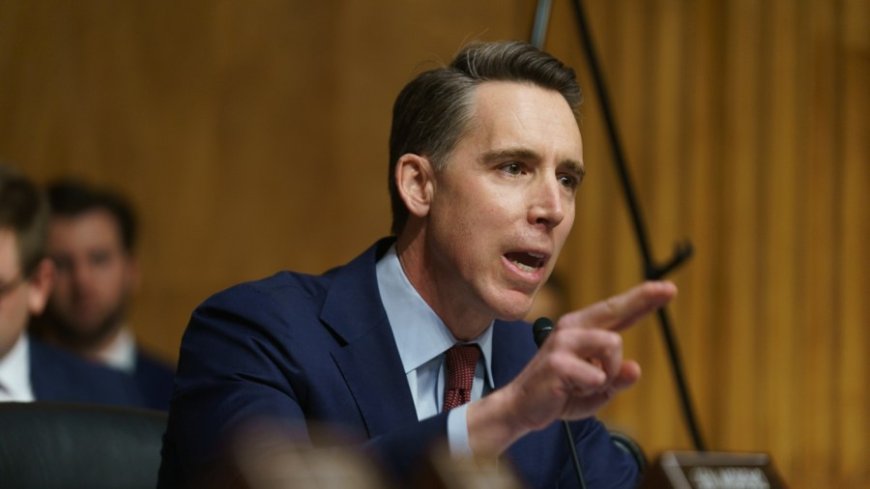 Hawley presses Flock over privacy concerns, calls for more safeguards