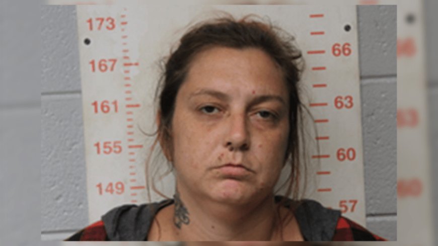 Polk County woman charged with child molestation, neglect