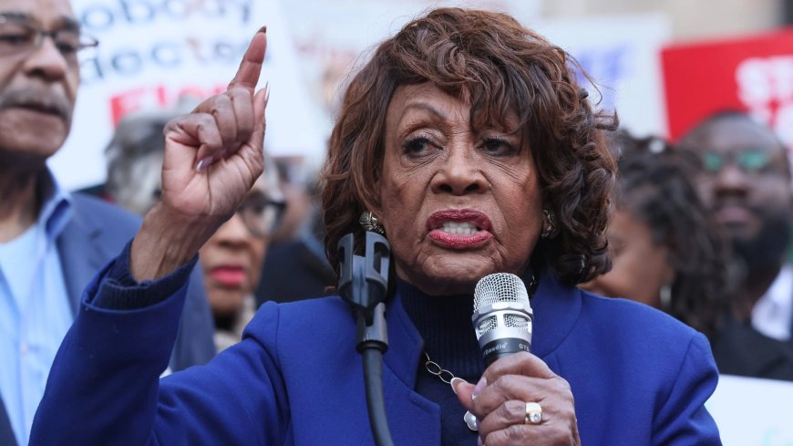 Maxine Waters calls for investigation after OpenAI agents accessed federal government websites