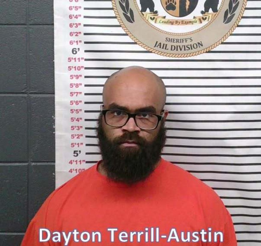 Suspect arrested after barricading himself in Willow Springs home