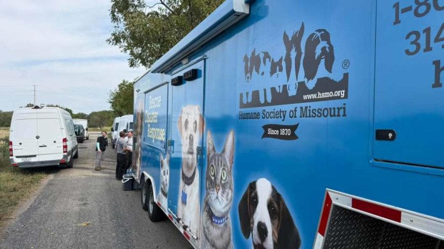 More than 100 animals rescued in Lawrence County