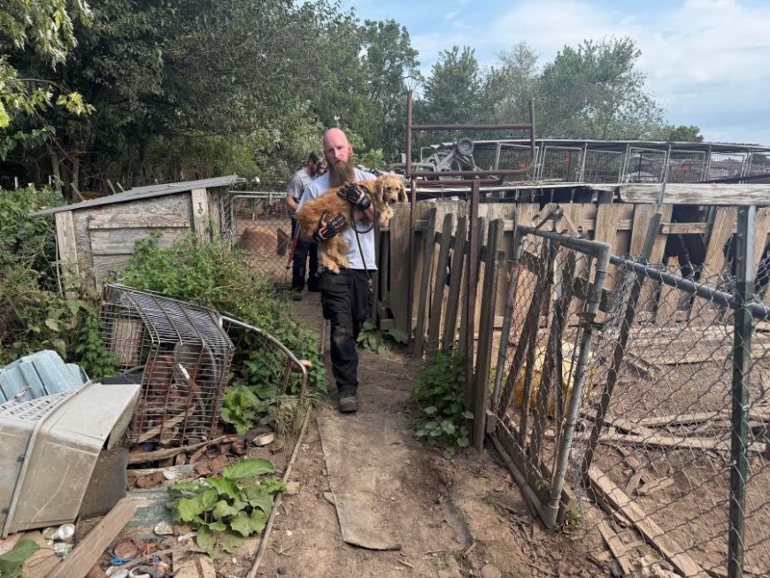 Lawrence County woman charged in connection to rescue of 170 animals
