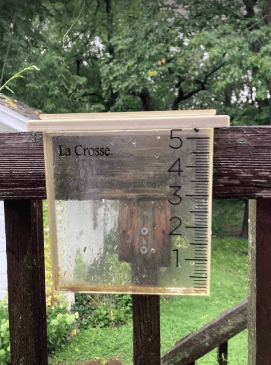Widespread rainfall washes away the late summer heat