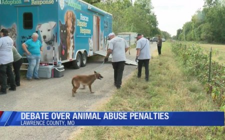 Animal care experts weigh in as second person is charged in connection to Lawrence County animal rescue