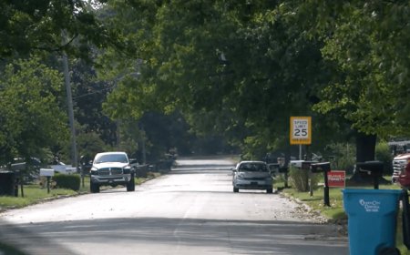 Developer alleges $1M in losses over social media posts about Springfield data project