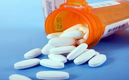 Greene County Commission awards six organizations almost $260,000 to combat opioid addiction 