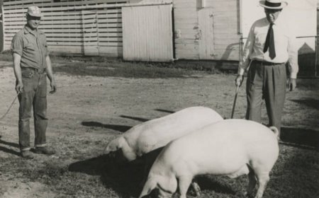 A Polk County farm boy took on Big Oil — and built an empire for farmers
