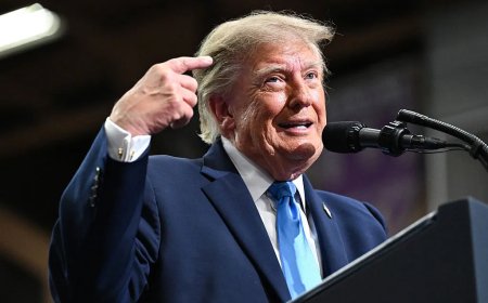 Donald Trump Doxxed Tom Cotton Over Daylight Saving Time Because Apparently This Is Where We Are Now