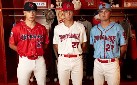Springfield Cardinals rebrand as Ozarks Springbirds