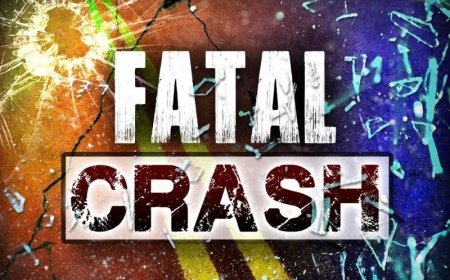 Branson man killed after car goes airborne, strikes tree in Taney County