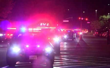 Springfield man, 24, killed while crossing Kansas highway