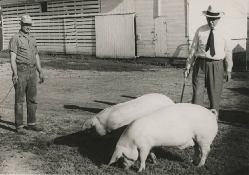 A Polk County farm boy took on Big Oil — and built an empire for farmers