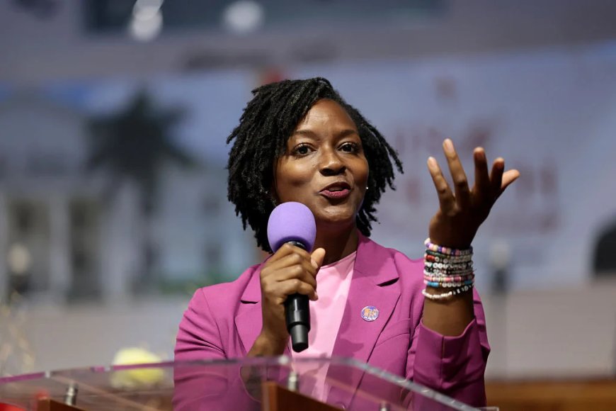 Angie Nixon invokes Black Panther Party history in fight over Florida healthcare