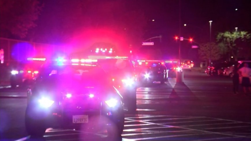 Springfield man, 24, killed while crossing Kansas highway